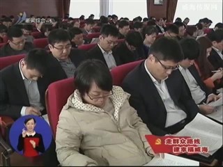 临港区党的群众路线教育实践活动动员大会召开